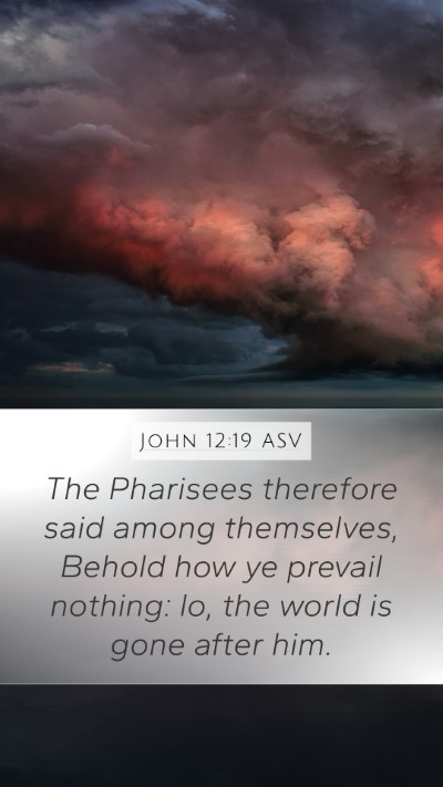 John 12:19 ASV Bible Verse Image
