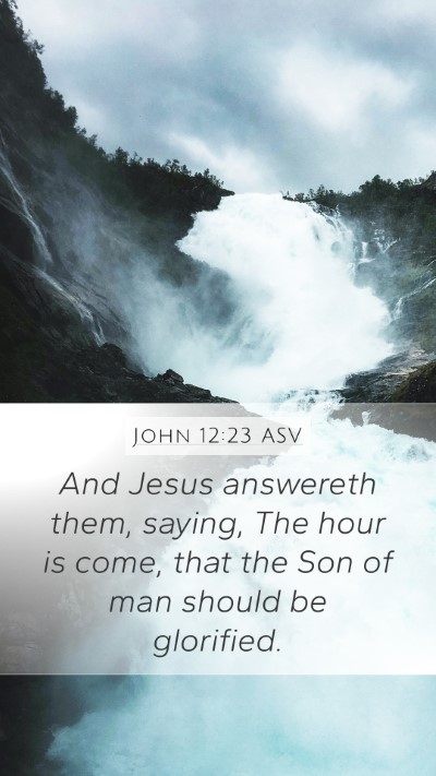 John 12:23 ASV Bible Verse Image