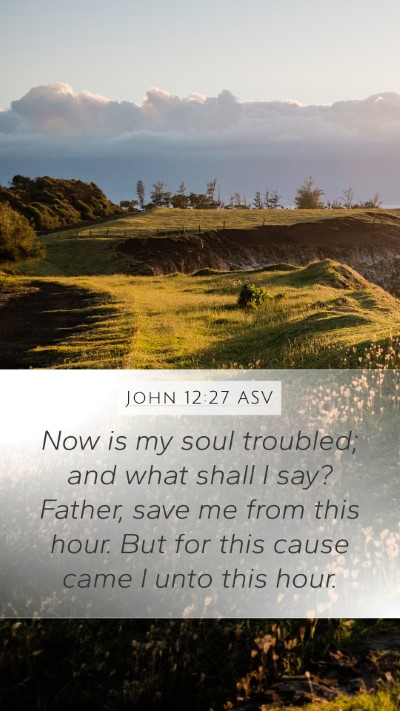 John 12:27 ASV Bible Verse Image