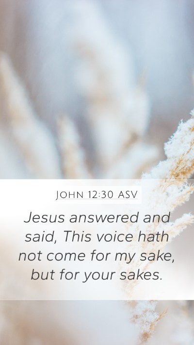 John 12:30 ASV Mobile Phone Wallpaper - Jesus answered and said, This voice hath not come - Mobile Bible Verse Wallpaper