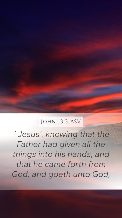 John 13:3 ASV Bible Verse Image