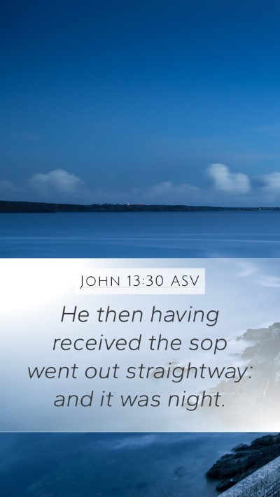 John 13:30 ASV Bible Verse Image