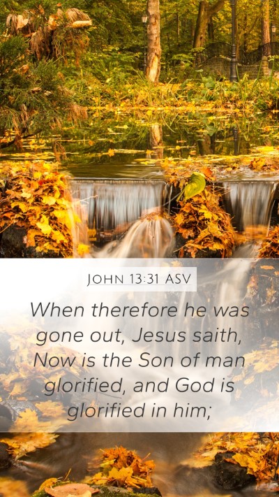 John 13:31 ASV Bible Verse Image