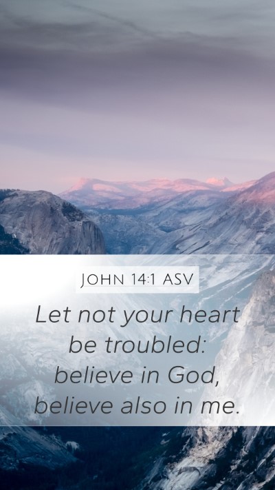 John 14:1 ASV Mobile Phone Wallpaper - Let not your heart be troubled: believe in God, - Mobile Bible Verse Wallpaper