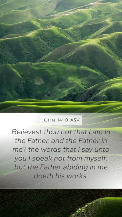 John 14:10 ASV Bible Verse Image