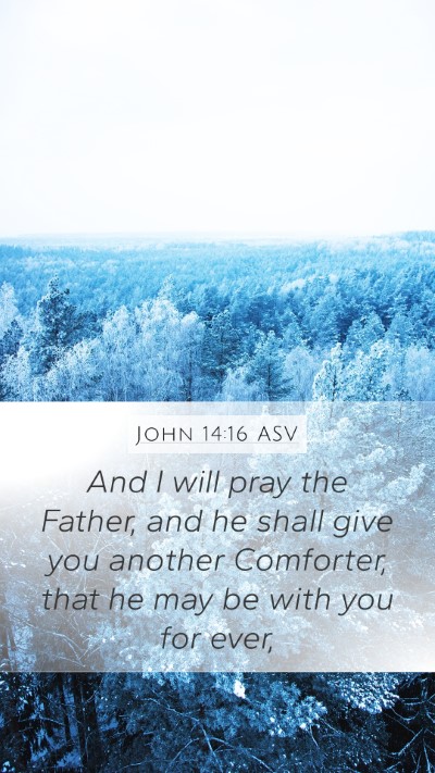 John 14:16 ASV Bible Verse Image