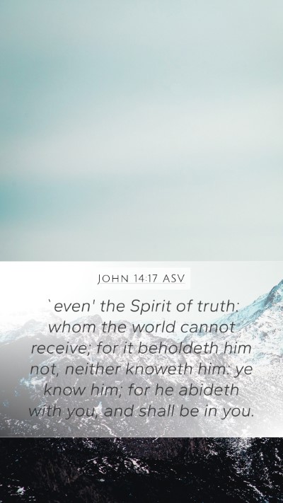 John 14:17 ASV Mobile Phone Wallpaper - `even' the Spirit of truth: whom the world cannot - Mobile Bible Verse Wallpaper