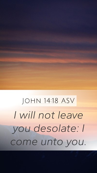 John 14:18 ASV Bible Verse Image