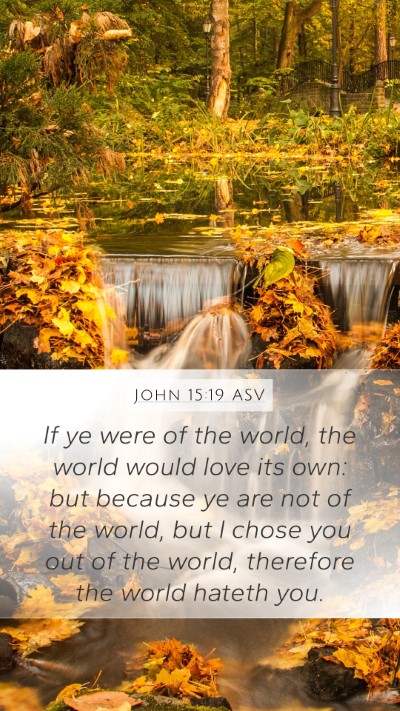 John 15:19 ASV Bible Verse Image