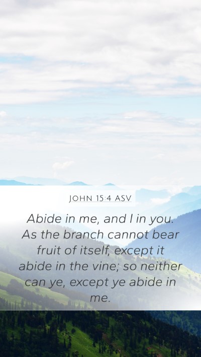 John 15:4 ASV Bible Verse Image