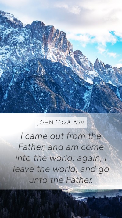 John 16:28 ASV Bible Verse Image