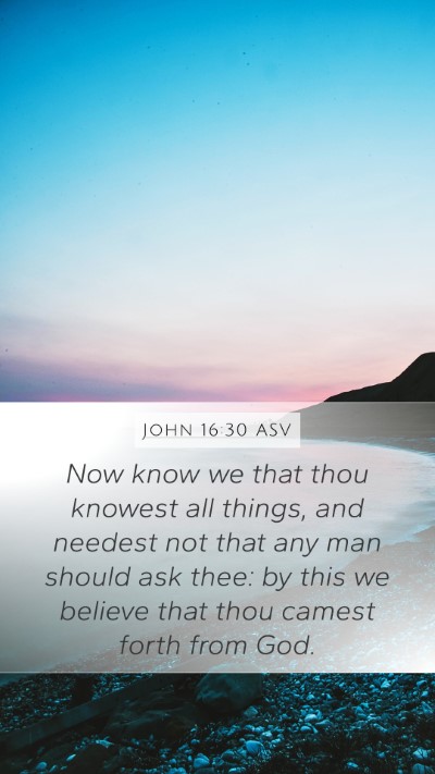 John 16:30 ASV Bible Verse Image