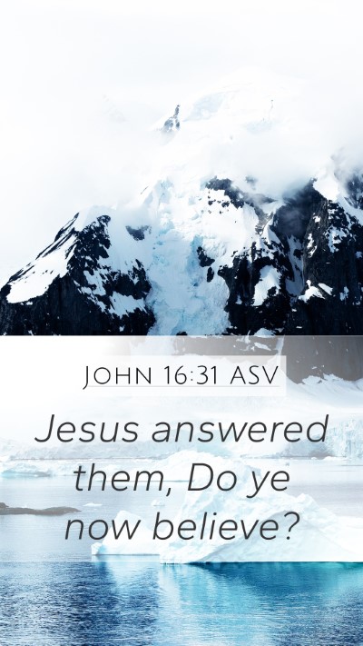 John 16:31 ASV Mobile Phone Wallpaper - Jesus answered them, Do ye now - Mobile Bible Verse Wallpaper