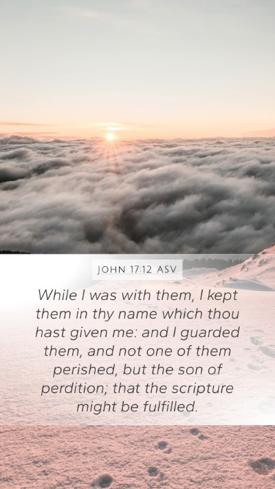 John 17:12 ASV Bible Verse Image