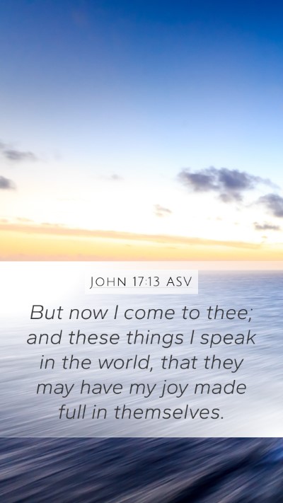 John 17:13 ASV Bible Verse Image