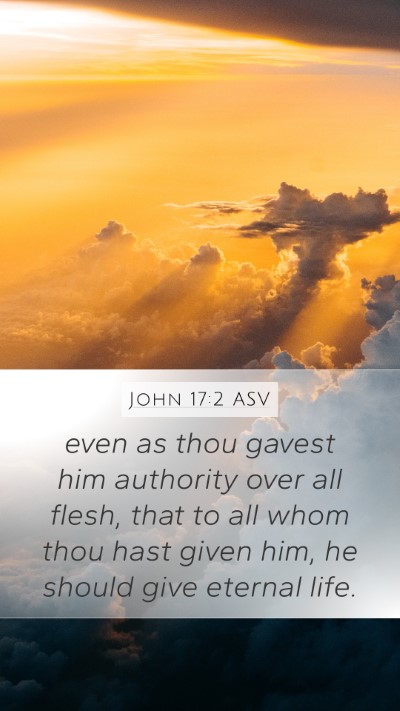 John 17:2 ASV Bible Verse Image