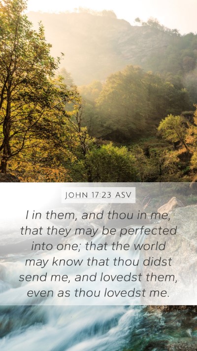 John 17:23 ASV Bible Verse Image
