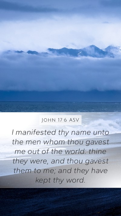 John 17:6 ASV Bible Verse Image