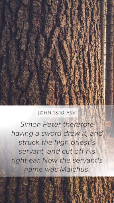 John 18:10 ASV Bible Verse Image