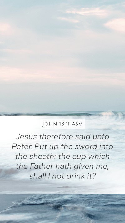 John 18:11 ASV Bible Verse Image