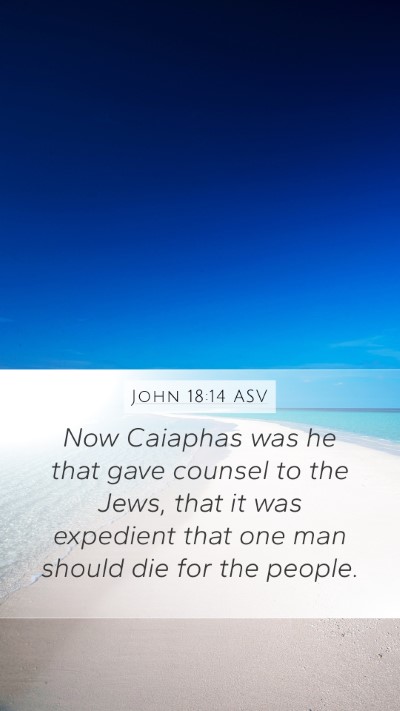 John 18:14 ASV Bible Verse Image