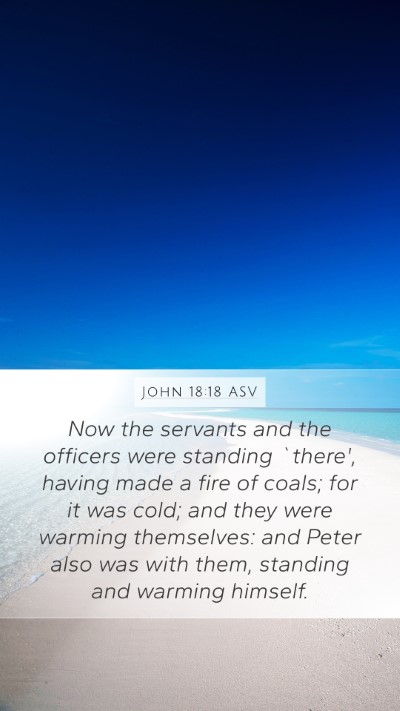 John 18:18 ASV Bible Verse Image