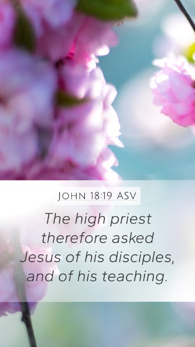 John 18:19 ASV Bible Verse Image