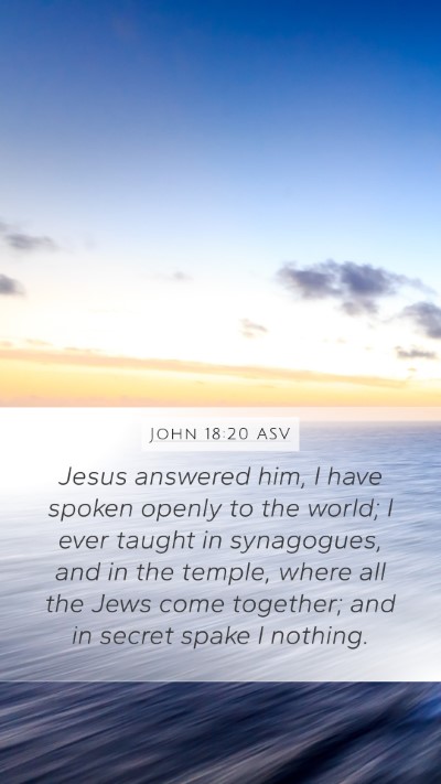 John 18:20 ASV Bible Verse Image