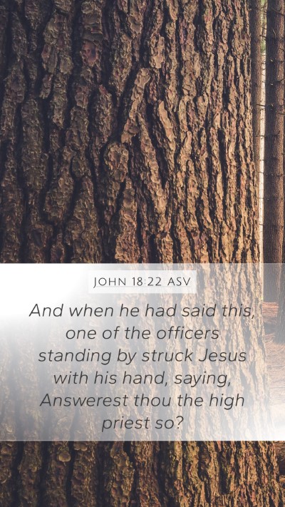 John 18:22 ASV Mobile Phone Wallpaper - And when he had said this, one of the officers - Mobile Bible Verse Wallpaper