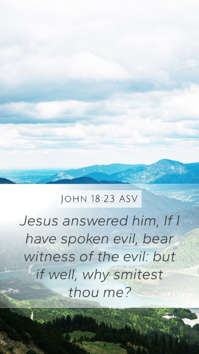 John 18:23 ASV Mobile Phone Wallpaper - Jesus answered him, If I have spoken evil, bear - Mobile Bible Verse Wallpaper