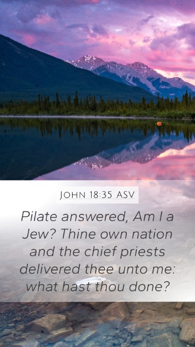 John 18:35 ASV Mobile Phone Wallpaper - Pilate answered, Am I a Jew? Thine own nation and - Mobile Bible Verse Wallpaper