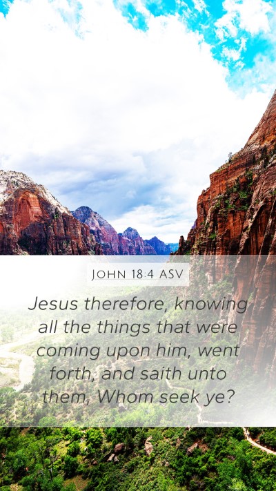 John 18:4 ASV Bible Verse Image