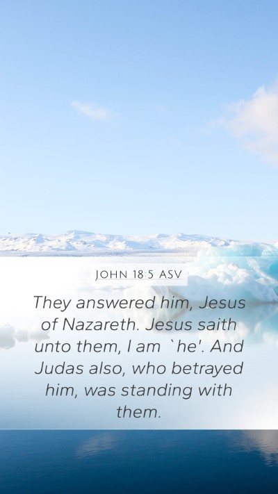 John 18:5 ASV Bible Verse Image