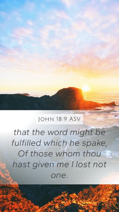 John 18:9 ASV Bible Verse Image