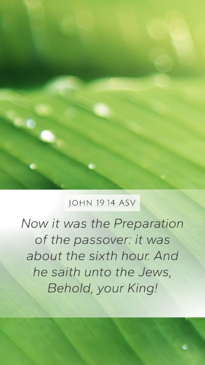 John 19:14 ASV Bible Verse Image