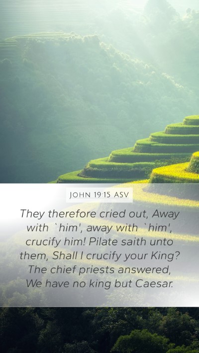 John 19:15 ASV Bible Verse Image