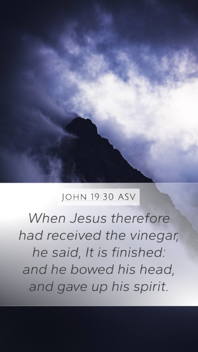 John 19:30 ASV Bible Verse Image