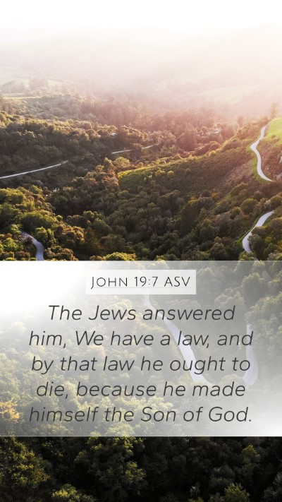 John 19:7 ASV Bible Verse Image