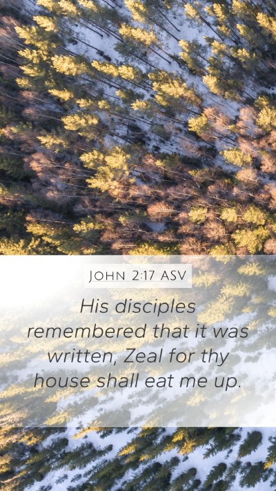 John 2:17 ASV Bible Verse Image
