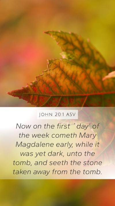 John 20:1 ASV Mobile Phone Wallpaper - Now on the first `day' of the week cometh Mary - Mobile Bible Verse Wallpaper