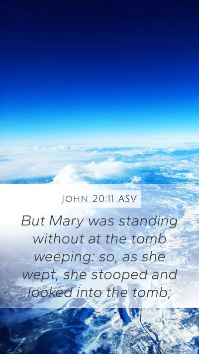 John 20:11 ASV Bible Verse Image
