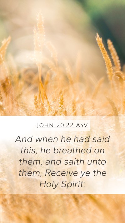 John 20:22 ASV Bible Verse Image