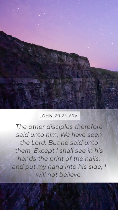 John 20:25 ASV Bible Verse Image