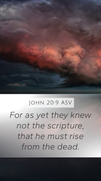 John 20:9 ASV Bible Verse Image