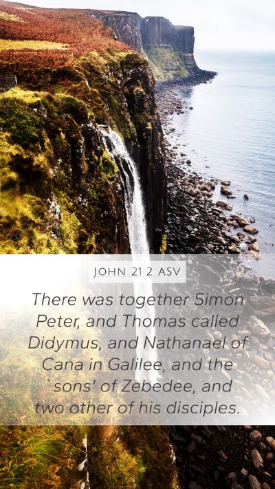 John 21:2 ASV Bible Verse Image