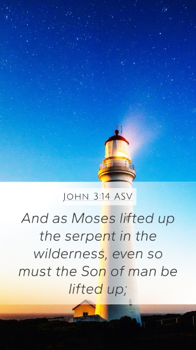 John 3:14 ASV Bible Verse Image