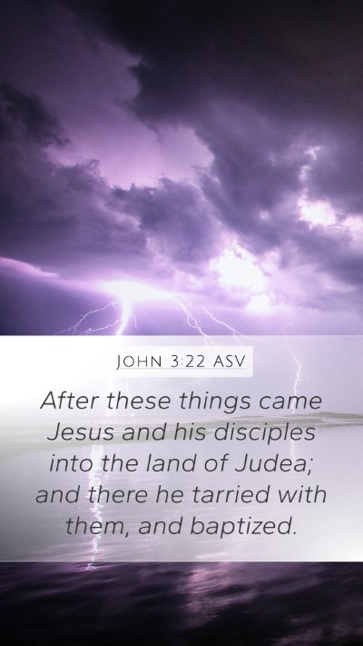 John 3:22 ASV Bible Verse Image