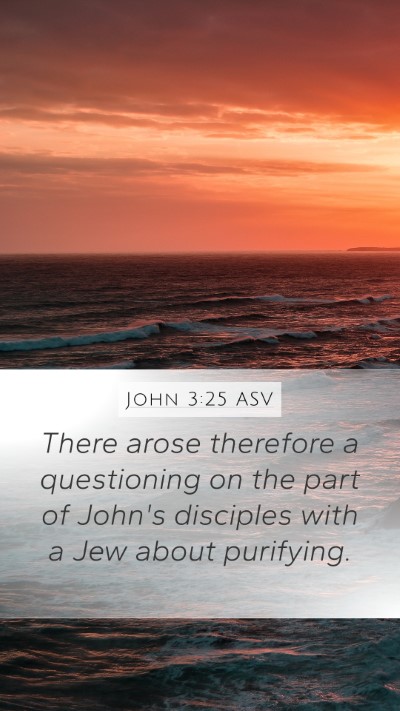John 3:25 ASV Bible Verse Image