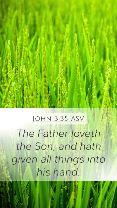 John 3:35 ASV Bible Verse Image