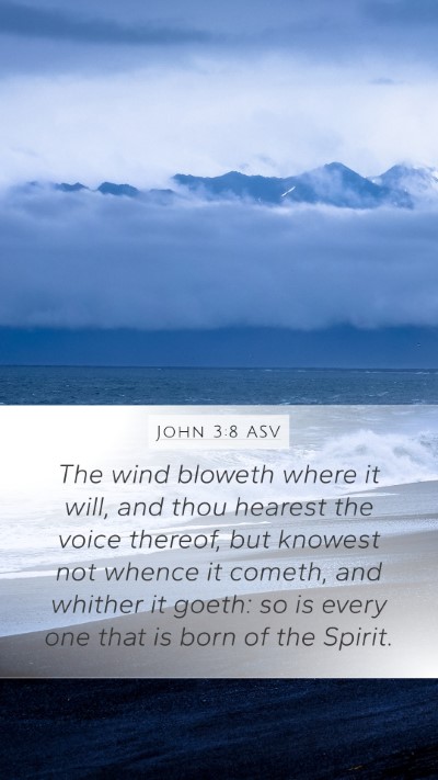 John 3:8 ASV Bible Verse Image